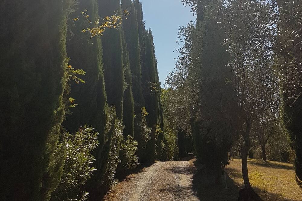 Photo of Others in Palaia