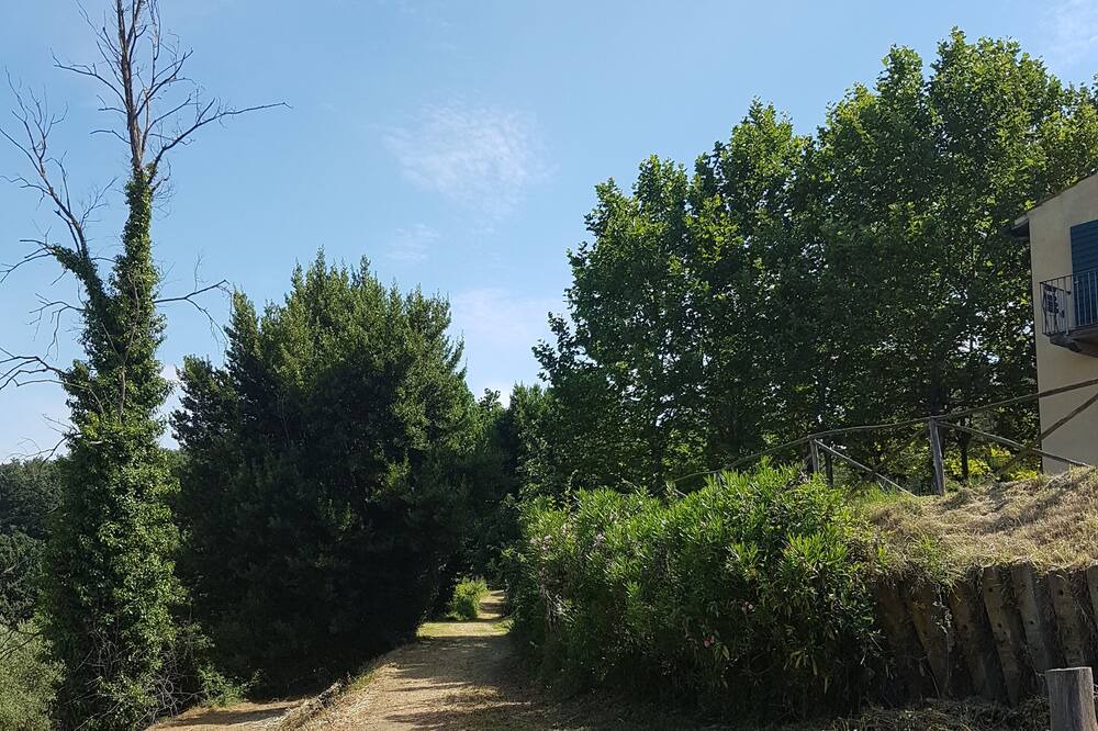 Photo of Outdoor in Palaia