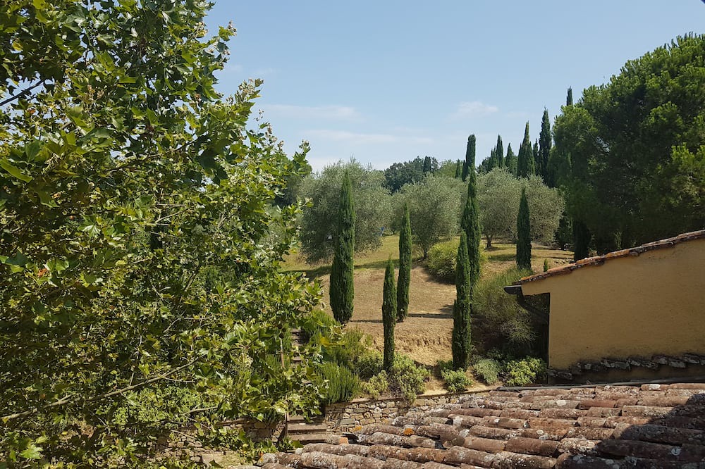 Photo of Outdoor in Palaia