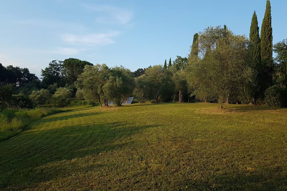 Photo of Others in Palaia