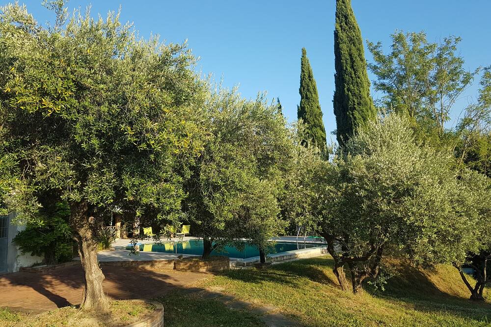 Photo of Outdoor in Palaia