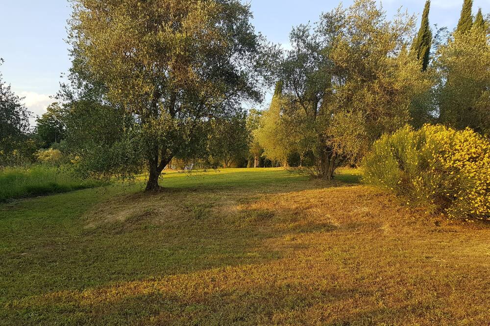 Photo of Outdoor in Palaia