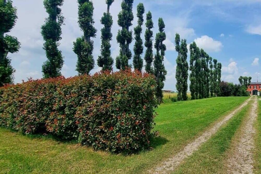 Photo of Outdoor in Ganaceto