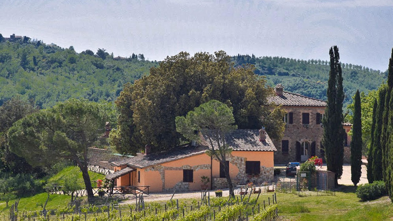 Photo of Outdoor in Casole d'Elsa