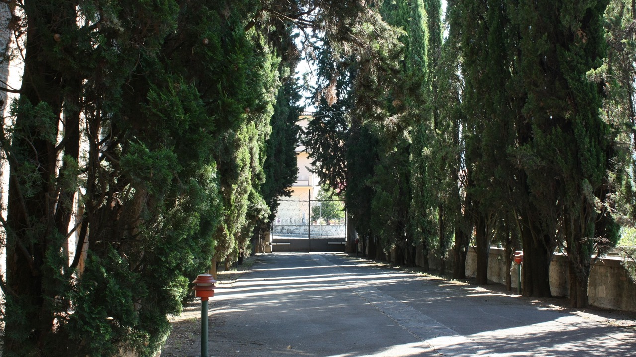 Photo of Outdoor in Capolona