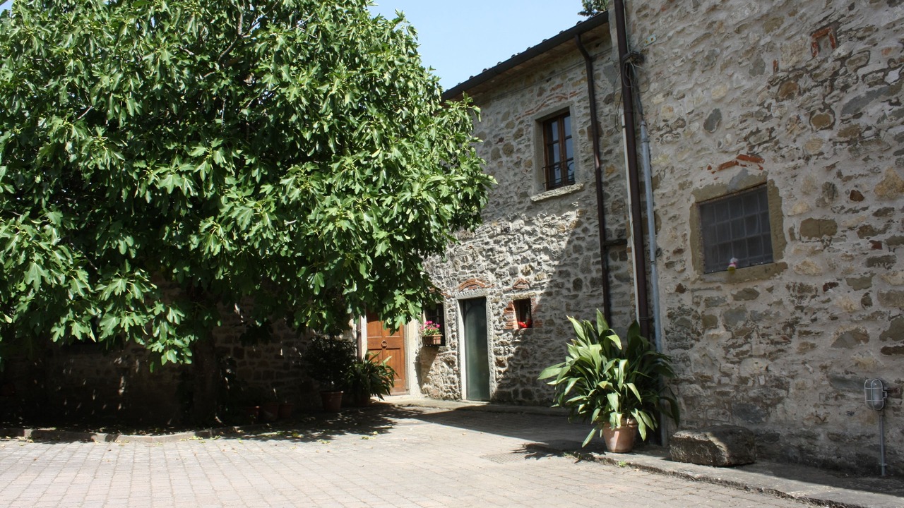 Photo of Outdoor in Capolona