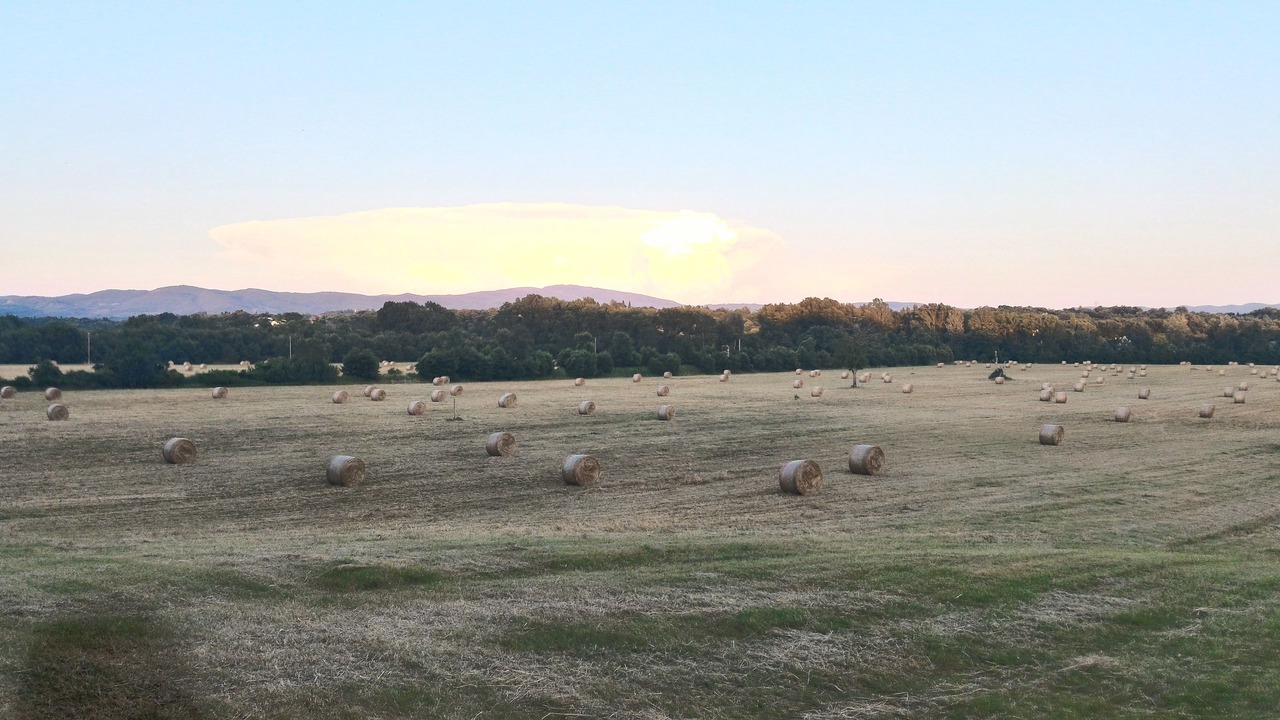 Photo of Outdoor in Capolona