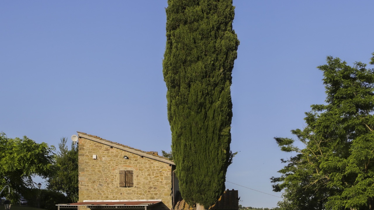 Photo of Outdoor in Barberino di Mugello