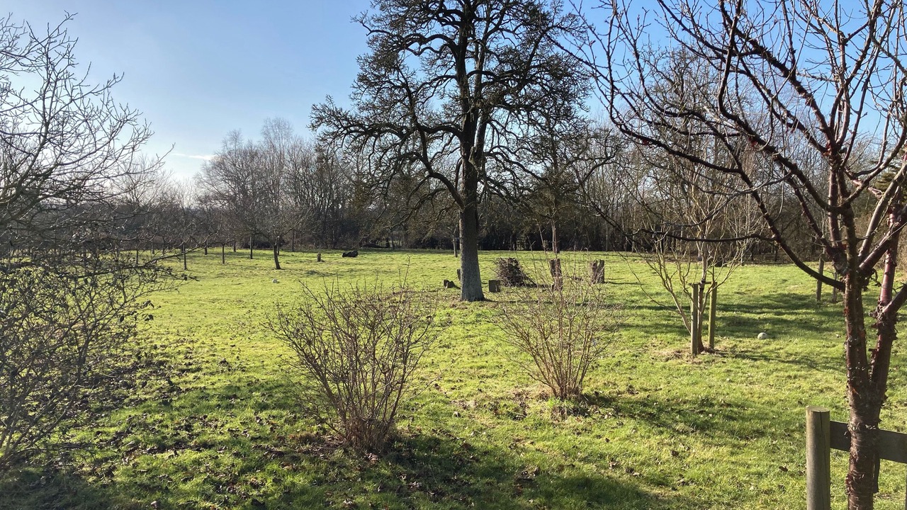 Photo of Others in Ilmington