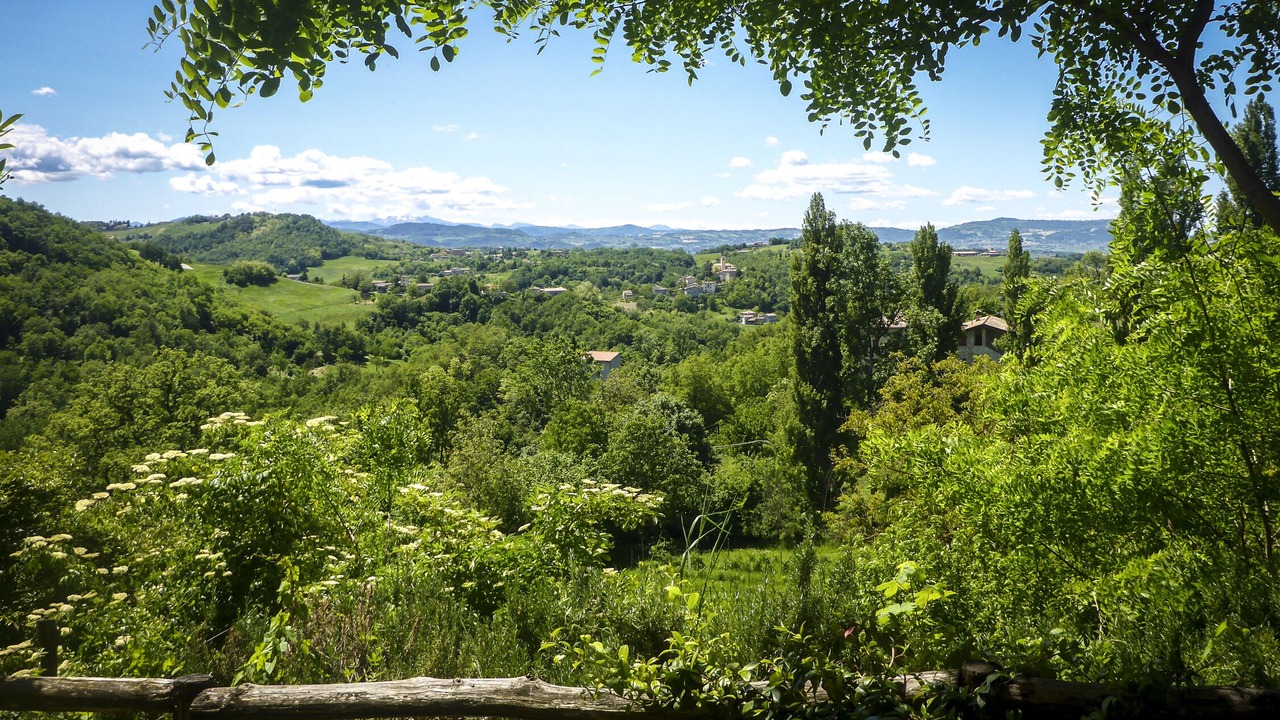 Photo of Outdoor in Monteombraro