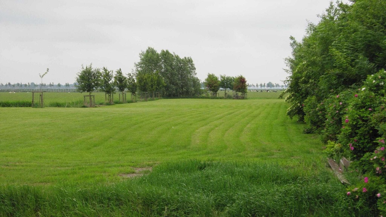 Photo of Others in Noordbeemster