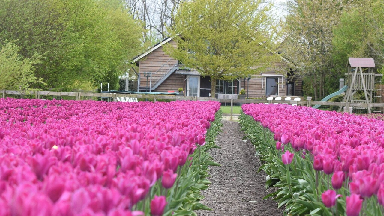 Photo of Outdoor in Noordbeemster
