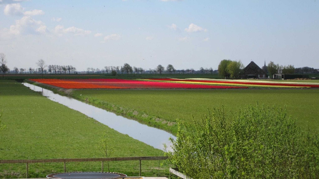 Photo of Others in Noordbeemster