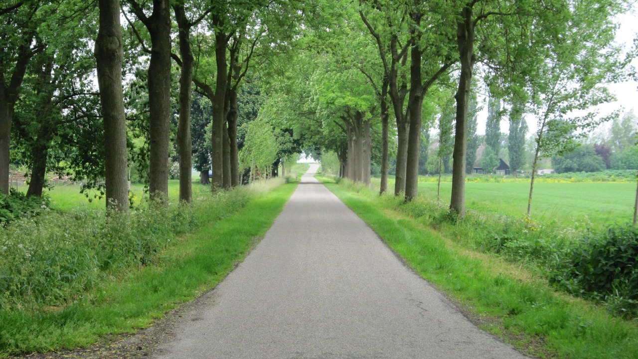 Photo of Outdoor in Noordbeemster