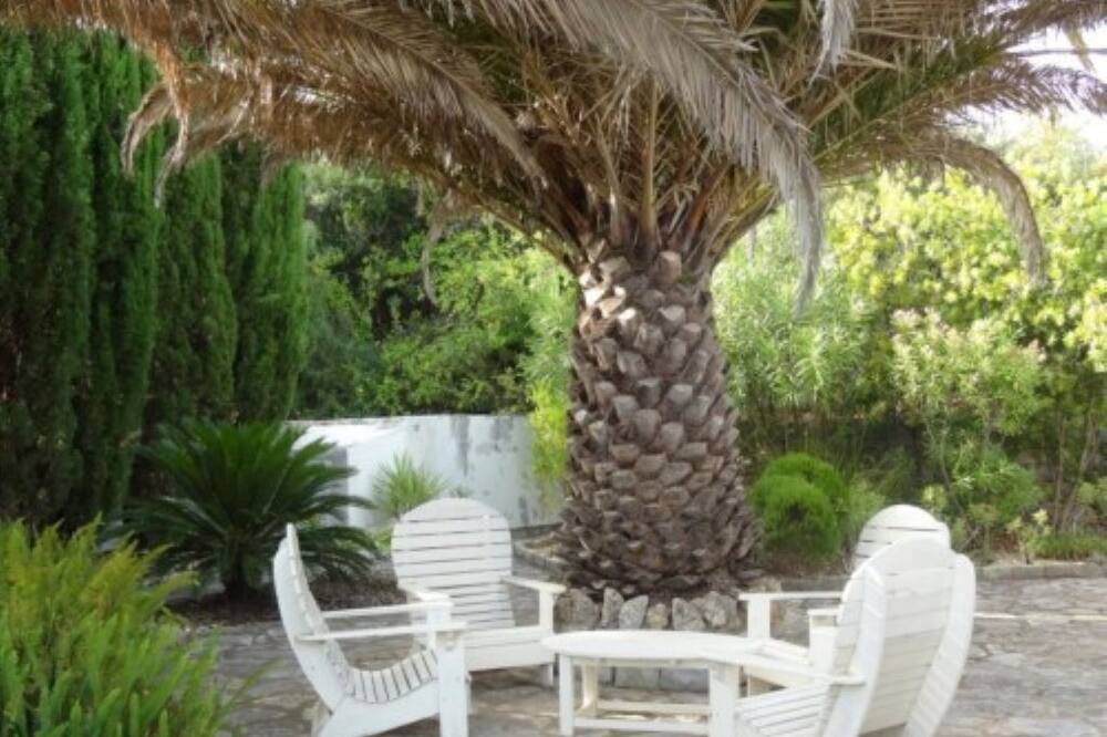 Photo of Outdoor in Quinta das Raposeiras