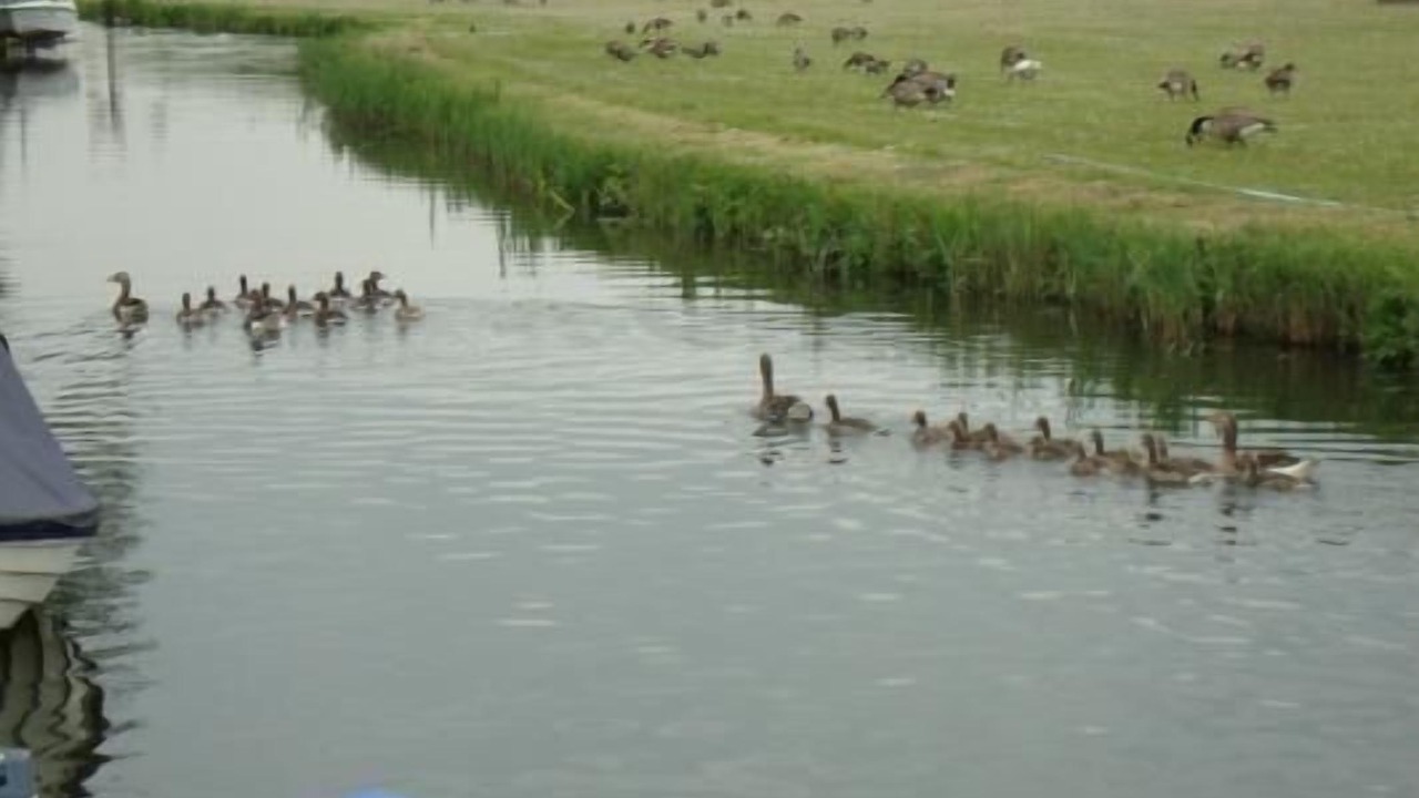 Photo of Outdoor in Onderdijk
