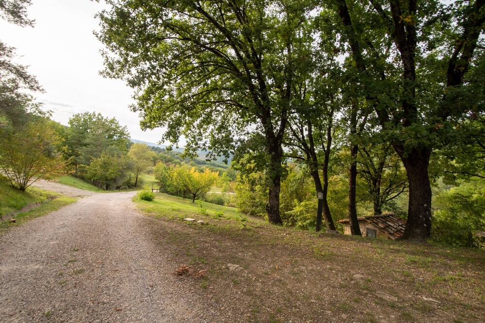 Photo of Outdoor in Chiusi della Verna