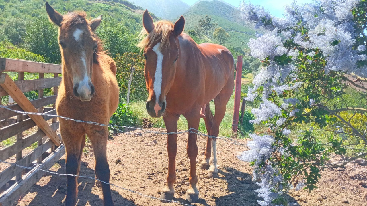 Photo of Outdoor in Cabo Punta Banda