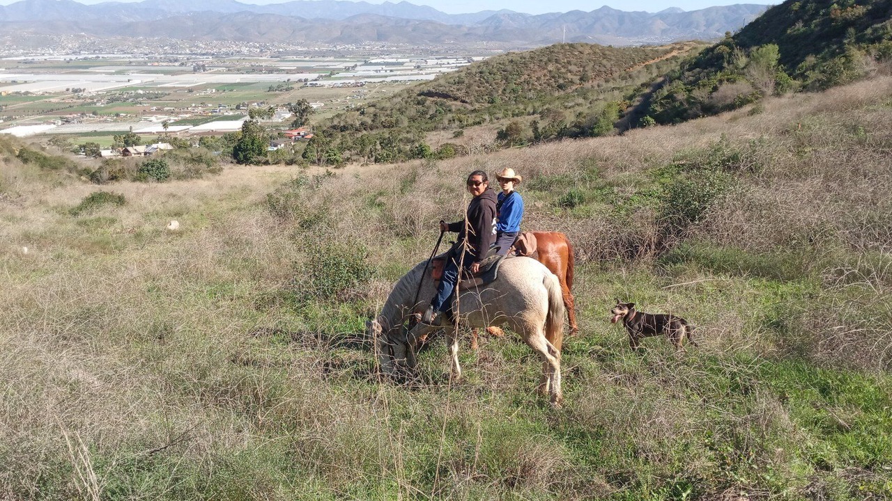 Photo of Others in Cabo Punta Banda