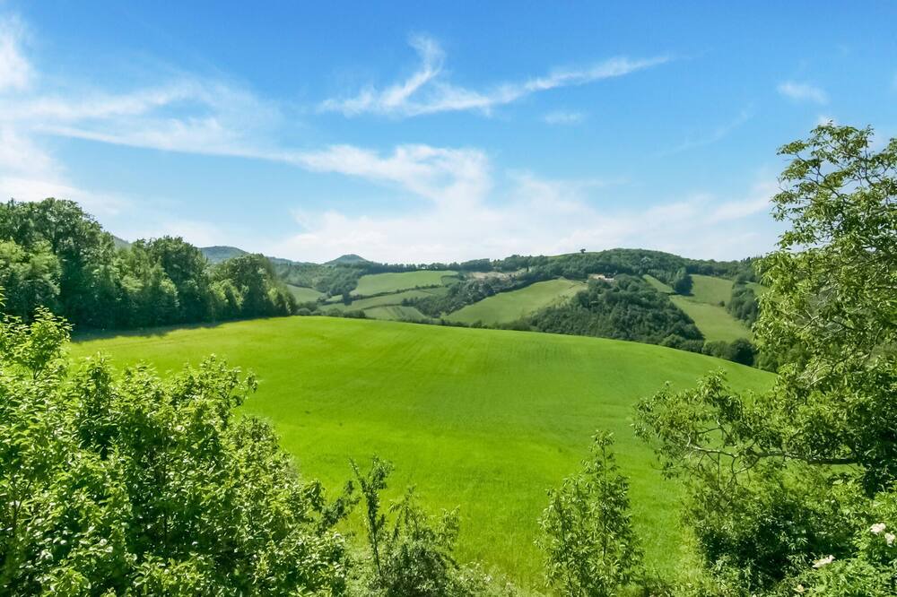Photo of Others in Urbino