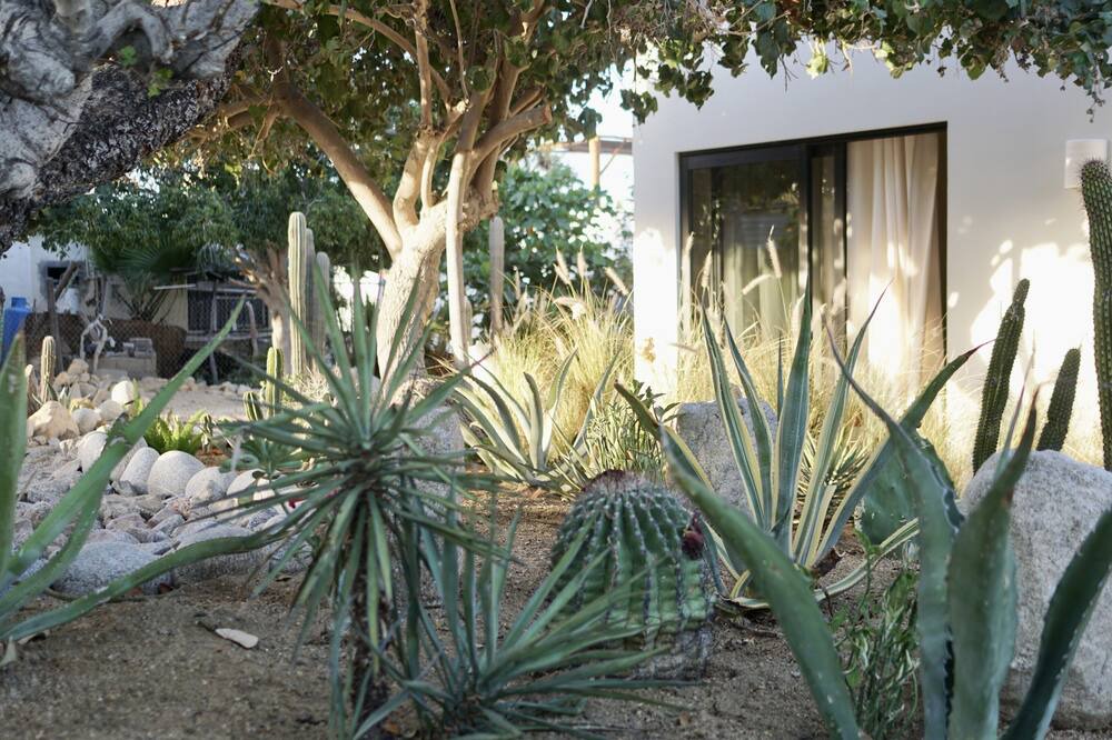 Photo of Outdoor in El Sargento