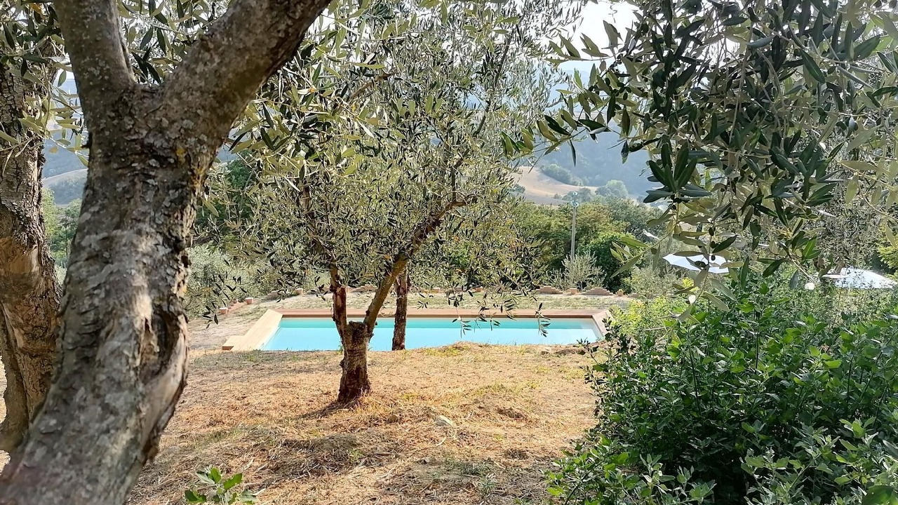 Photo of Outdoor in Saludecio