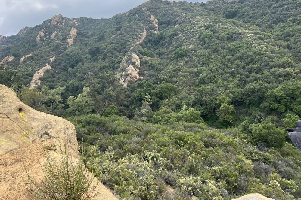 Photo of Others in Topanga