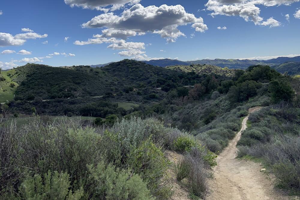Photo of Others in Topanga