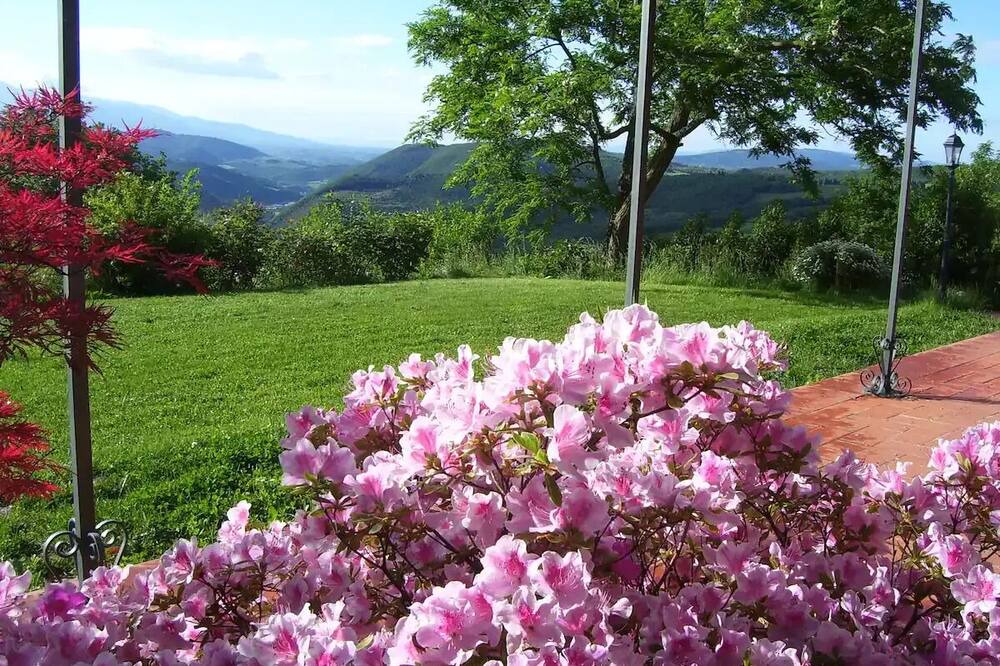 Photo of Outdoor in Pontassieve