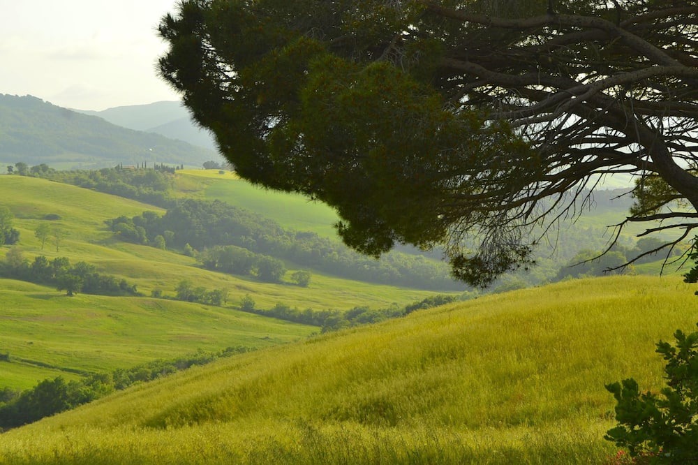 Photo of Others in Montecastelli