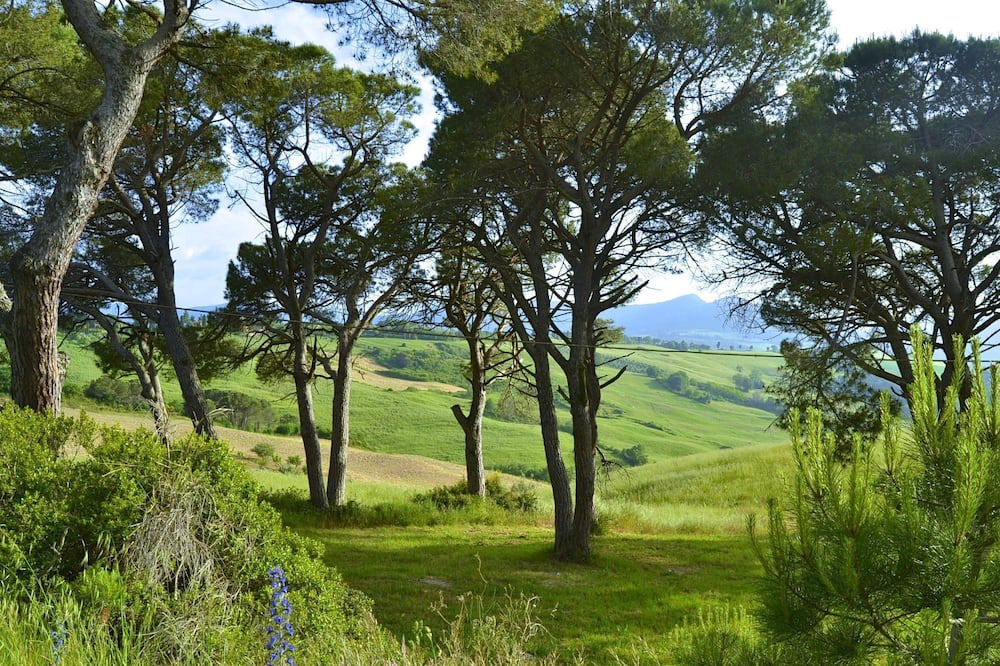 Photo of Others in Montecastelli