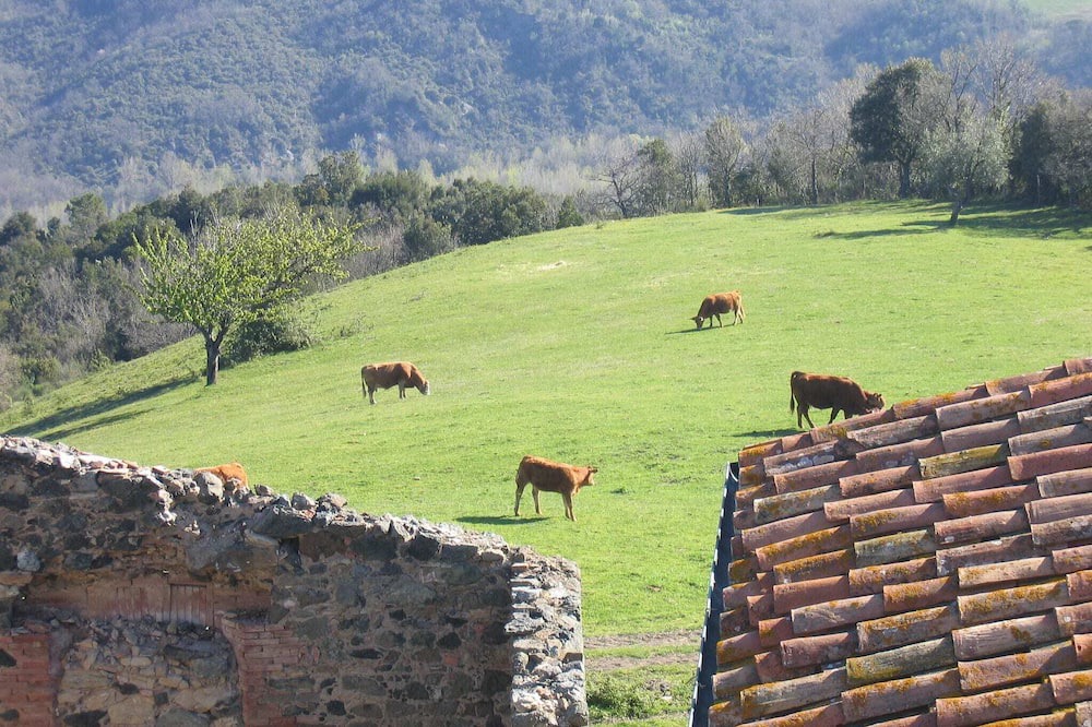 Photo of Others in Montecastelli