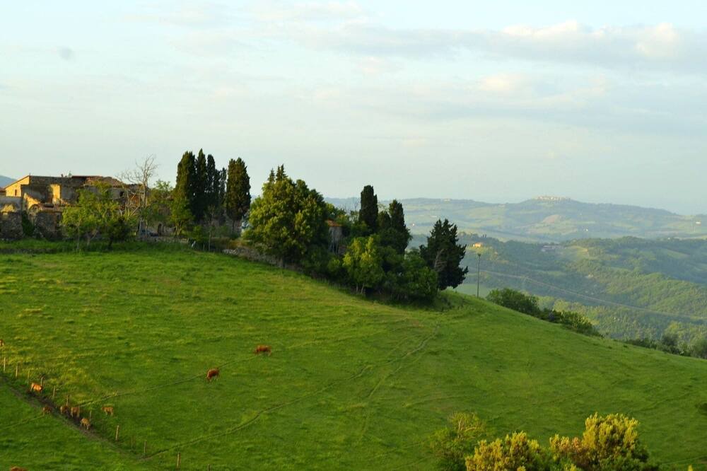 Photo of Others in Montecastelli