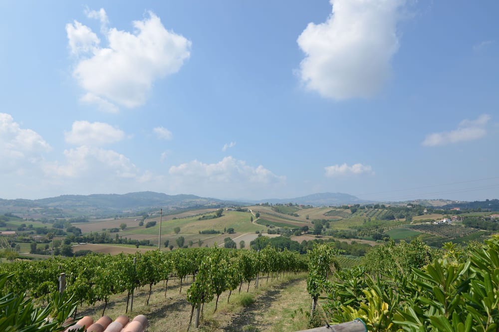Photo of Others in Passano