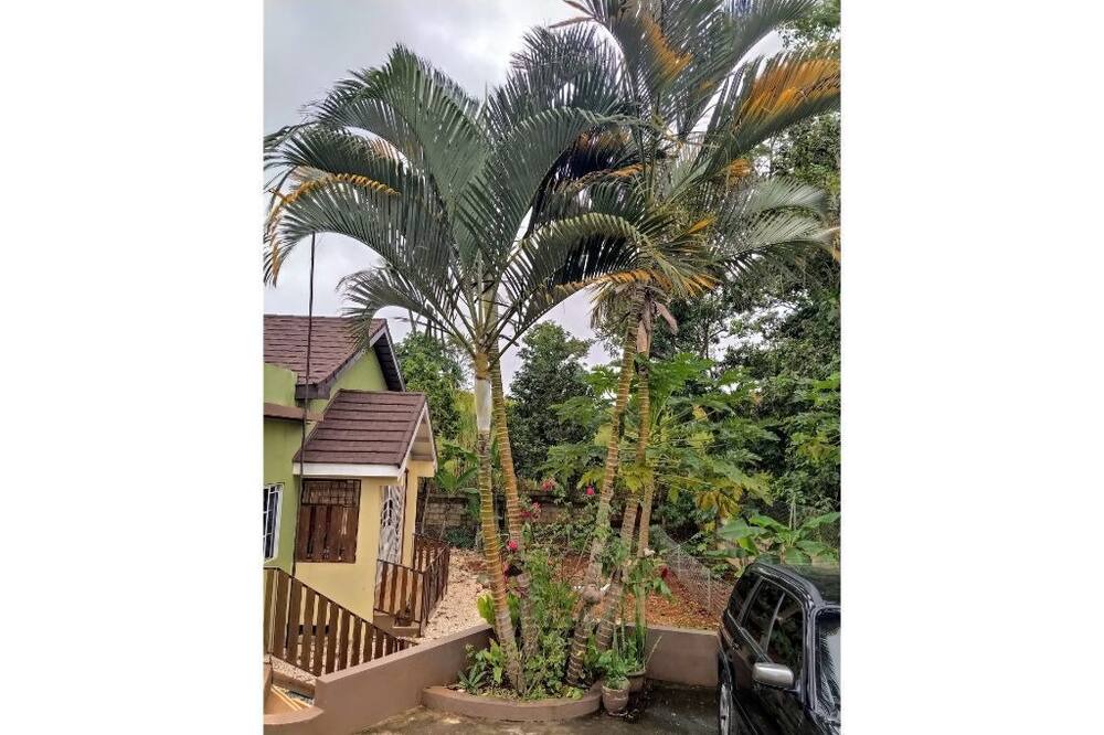 Photo of Outdoor in Porus