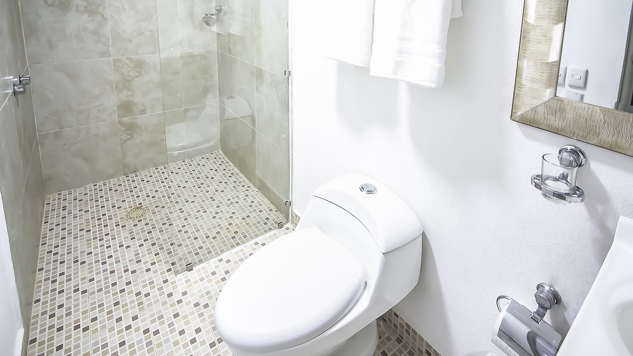 Photo of Bathroom in Colonia El Progreso
