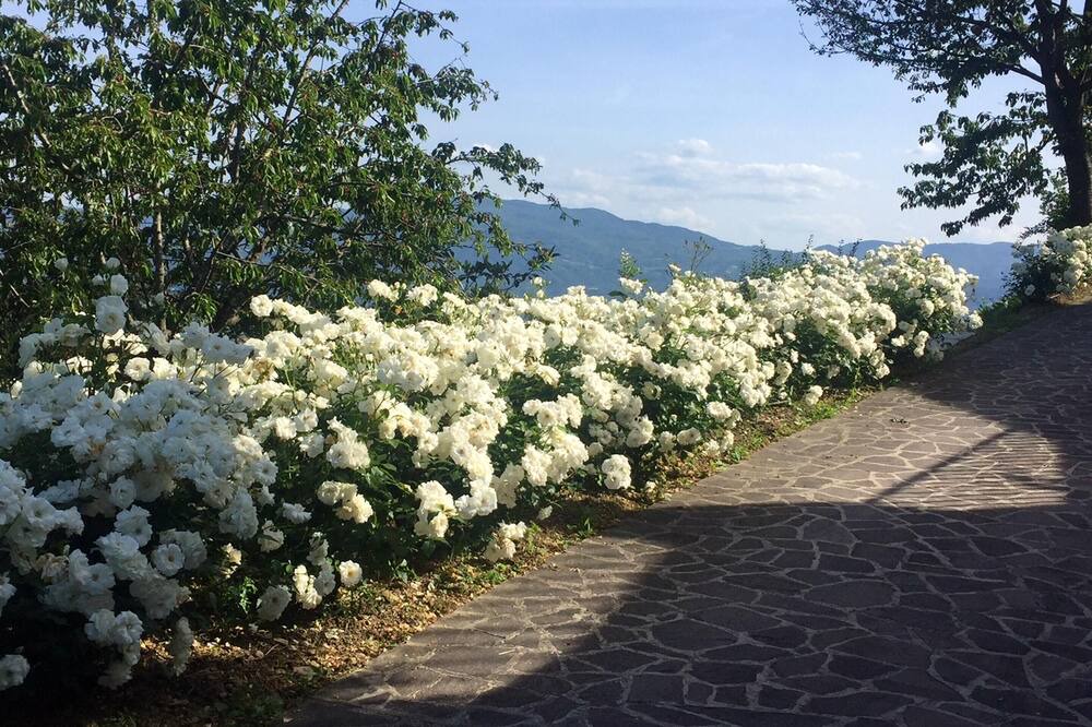 Photo of Outdoor in Gattaia