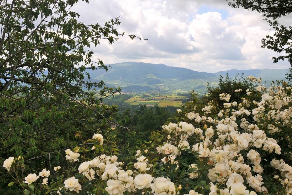 Photo of Outdoor in Gattaia