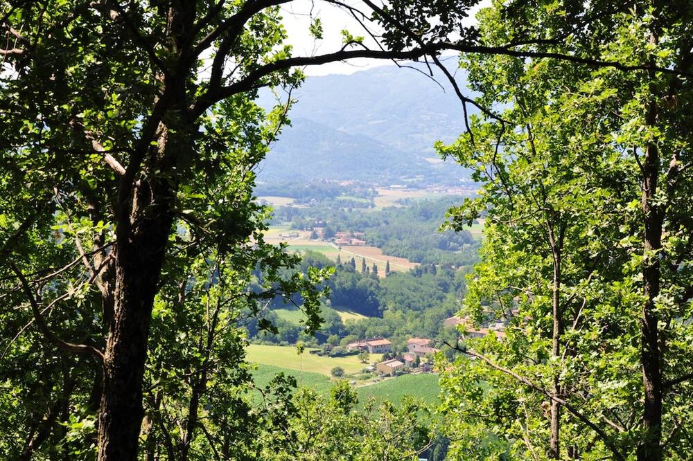 Photo of Others in Gattaia