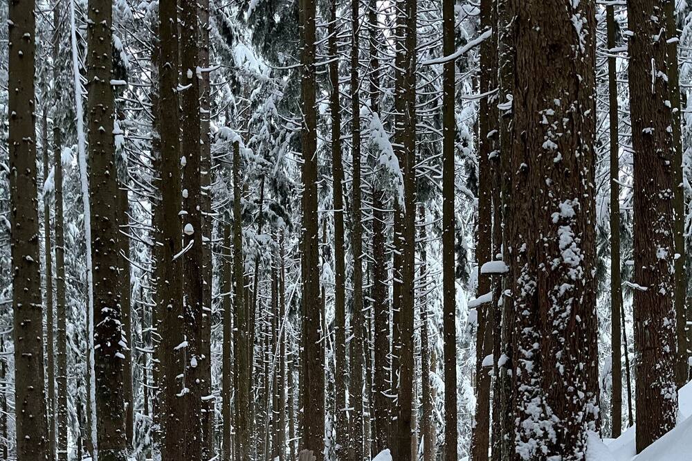 Photo of Others in Vancouver