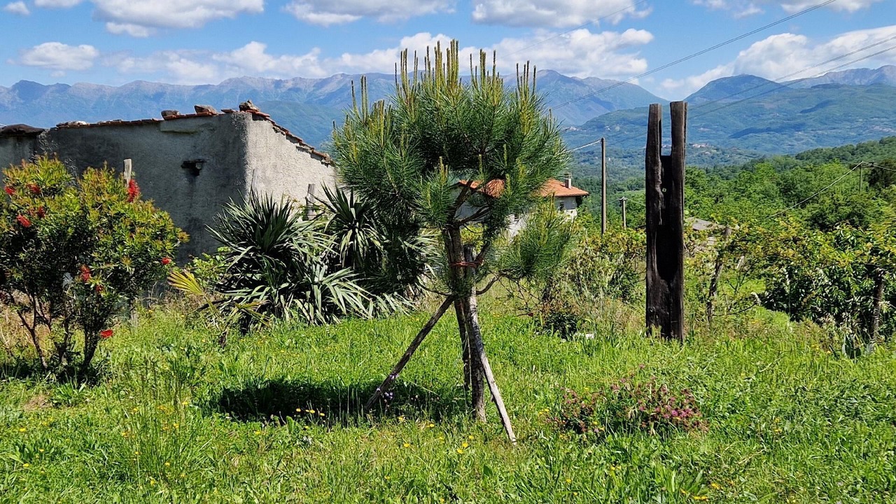 Photo of Outdoor in Masero