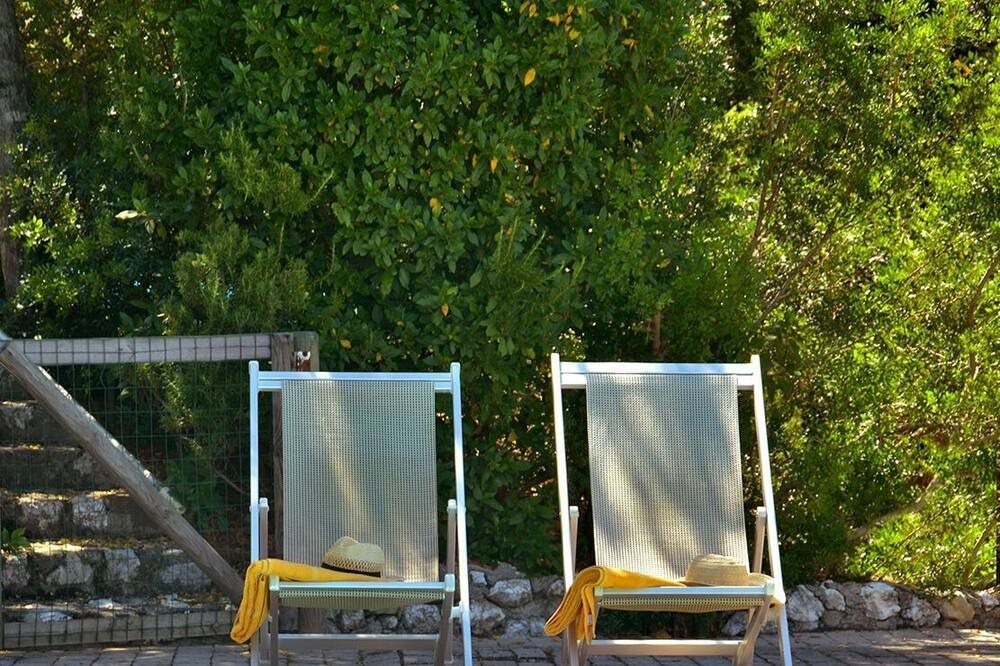 Photo of Outdoor in Guardistallo