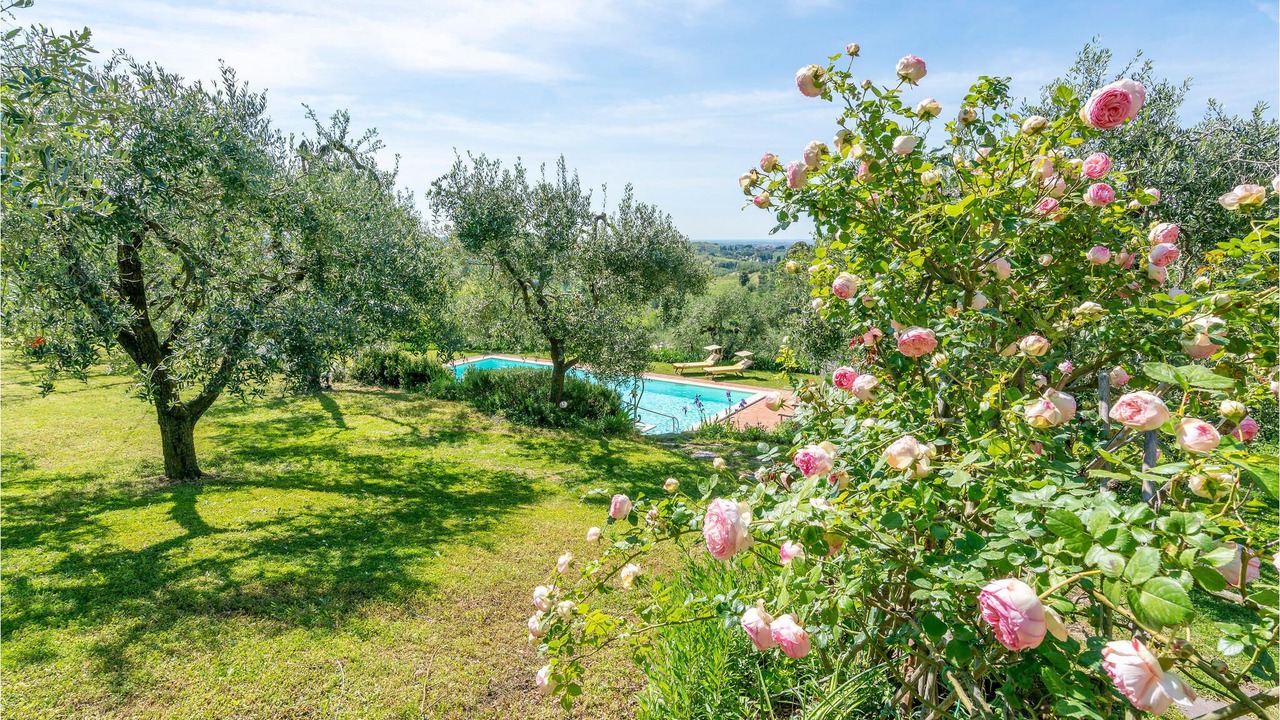 Photo of Outdoor in Lari