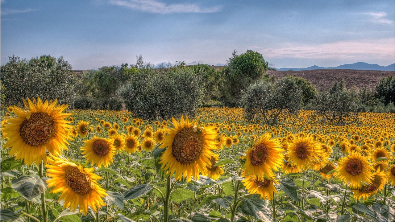 Photo of Outdoor in Lari