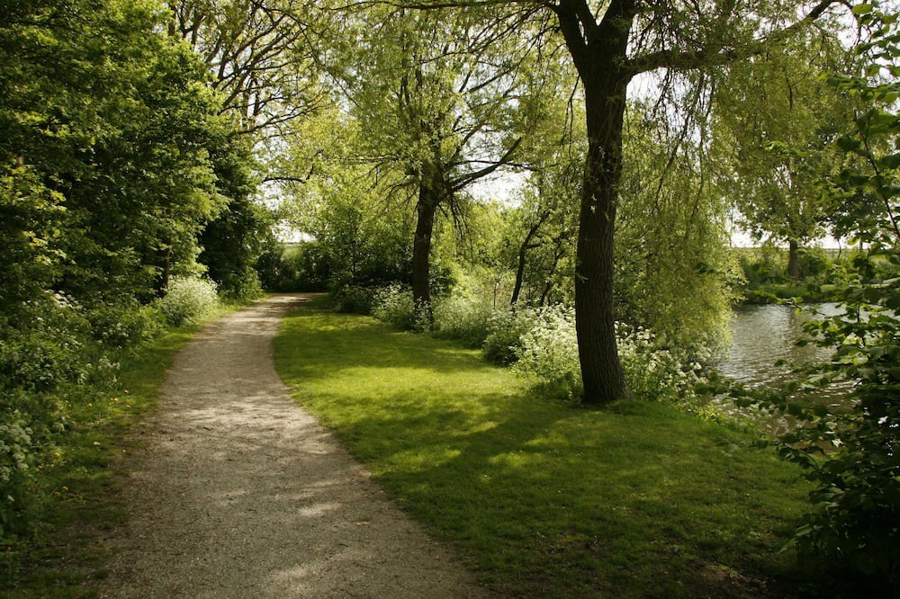 Photo of Others in Hensbroek