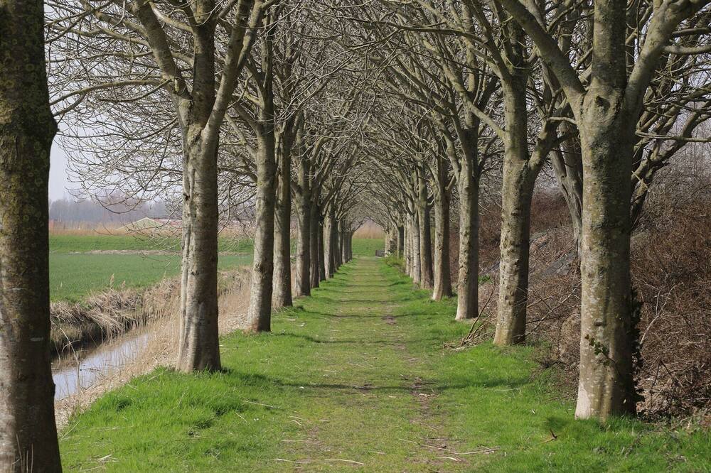 Photo of Others in Hensbroek