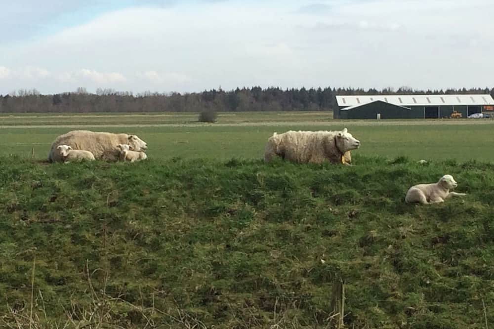 Photo of Others in Hensbroek