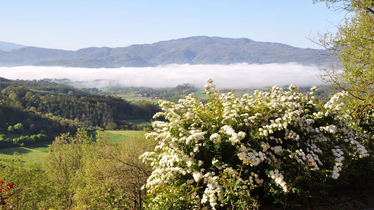 Photo of Outdoor in Gattaia