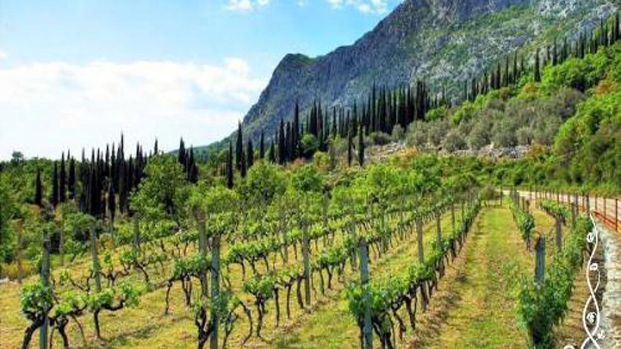 Photo of Outdoor in Cilipi