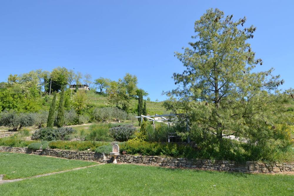 Photo of Outdoor in Modigliana